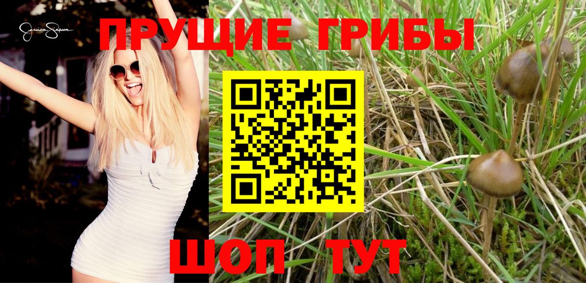Псилоцибиновые грибы ЛСД Гулькевичи