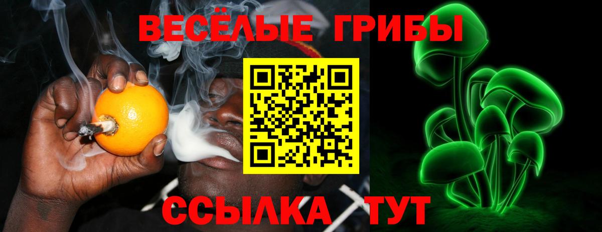 Гулькевичи  Псилоцибиновые грибы мухоморы  Вход с VPN 